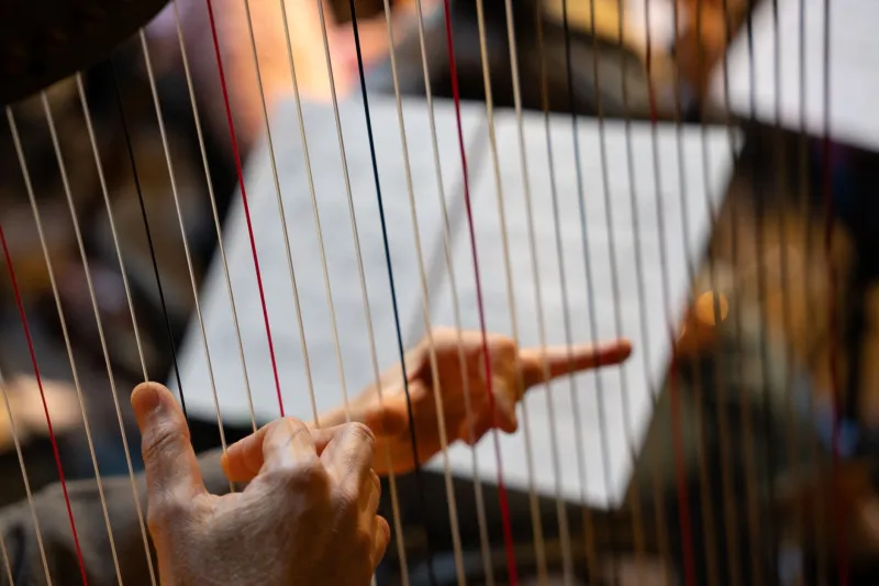 Before the First Word Was Spoken: How Music Became the Soul of Middle-earth