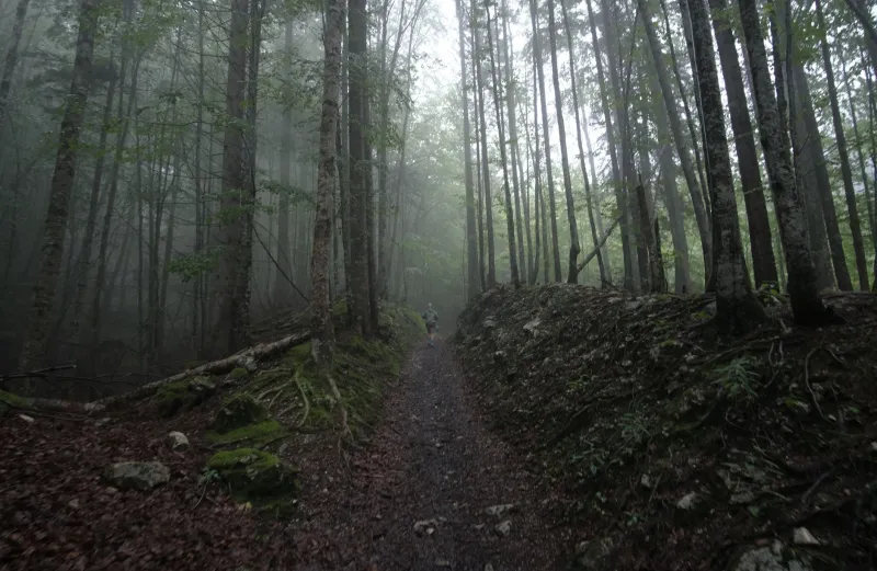 What the Darkness Holds: The Art of Tolkien's Deliberate Omissions and the Readers They Made